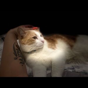 Meet your Posher, Amal